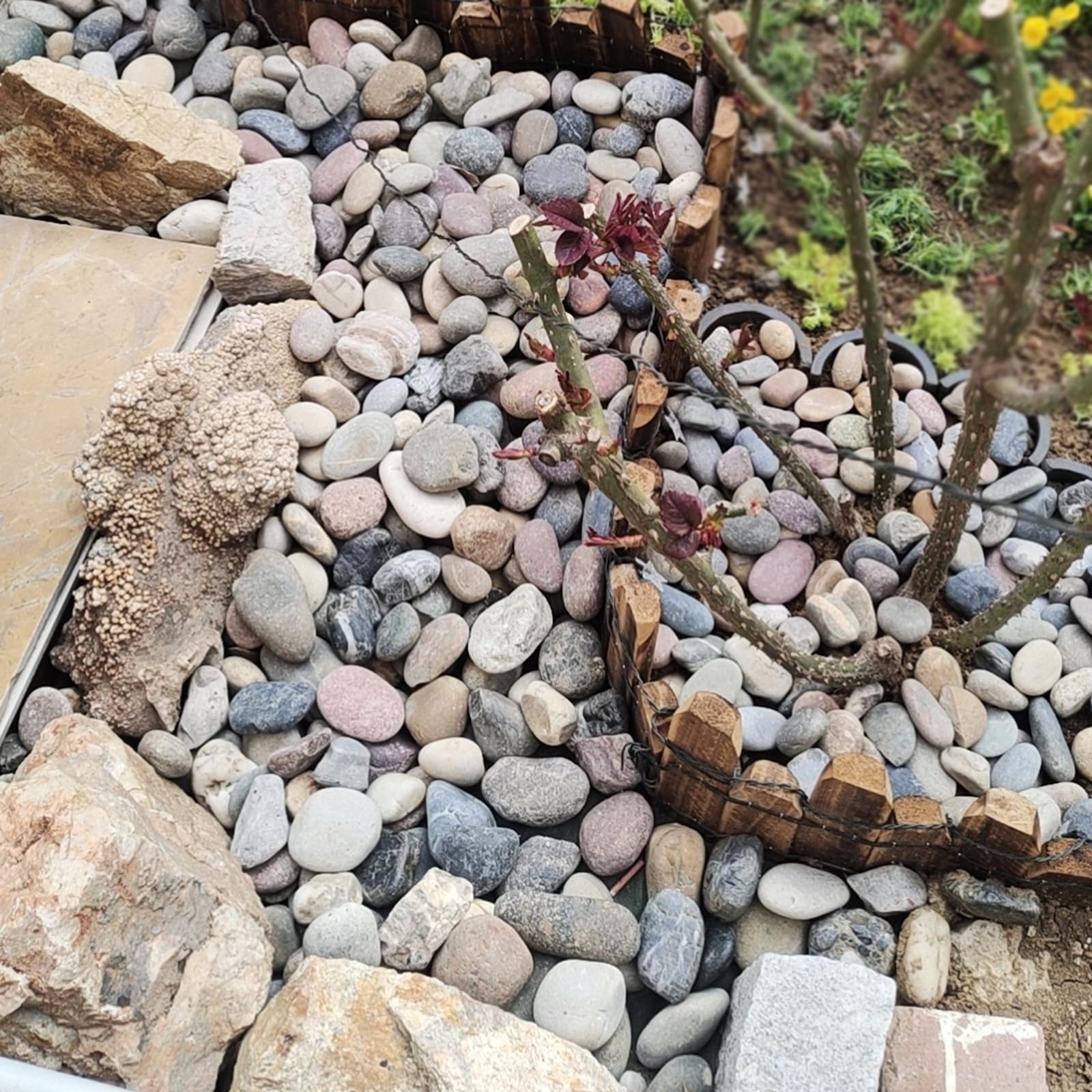 FANTIAN 20 lbs Natural River Stones – 2-4 cm Decorative Garden Cobbles