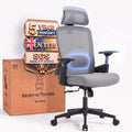 Realm of Thrones Ergonomic Office Chair, 3D Armrests and 2D Lumbar Support - image 1