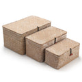 Seagrass Storage Baskets with Lid | 3-Piece Woven Rattan Set