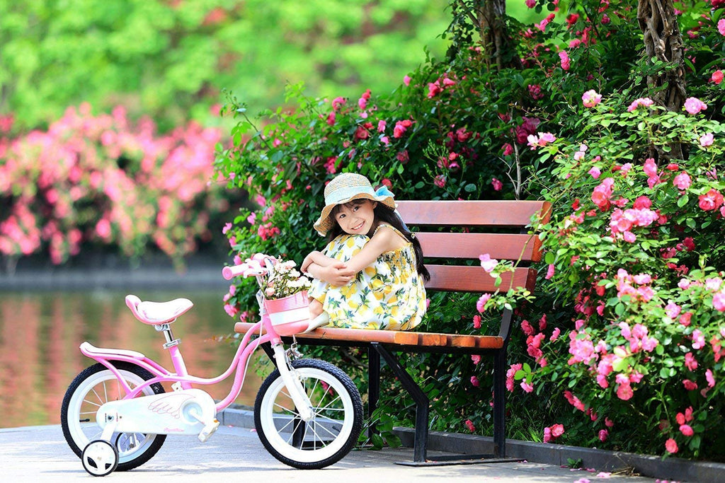 RoyalBaby Swan Girls Kids Bicycle with Stabilisers, Pink, 12-Inch
