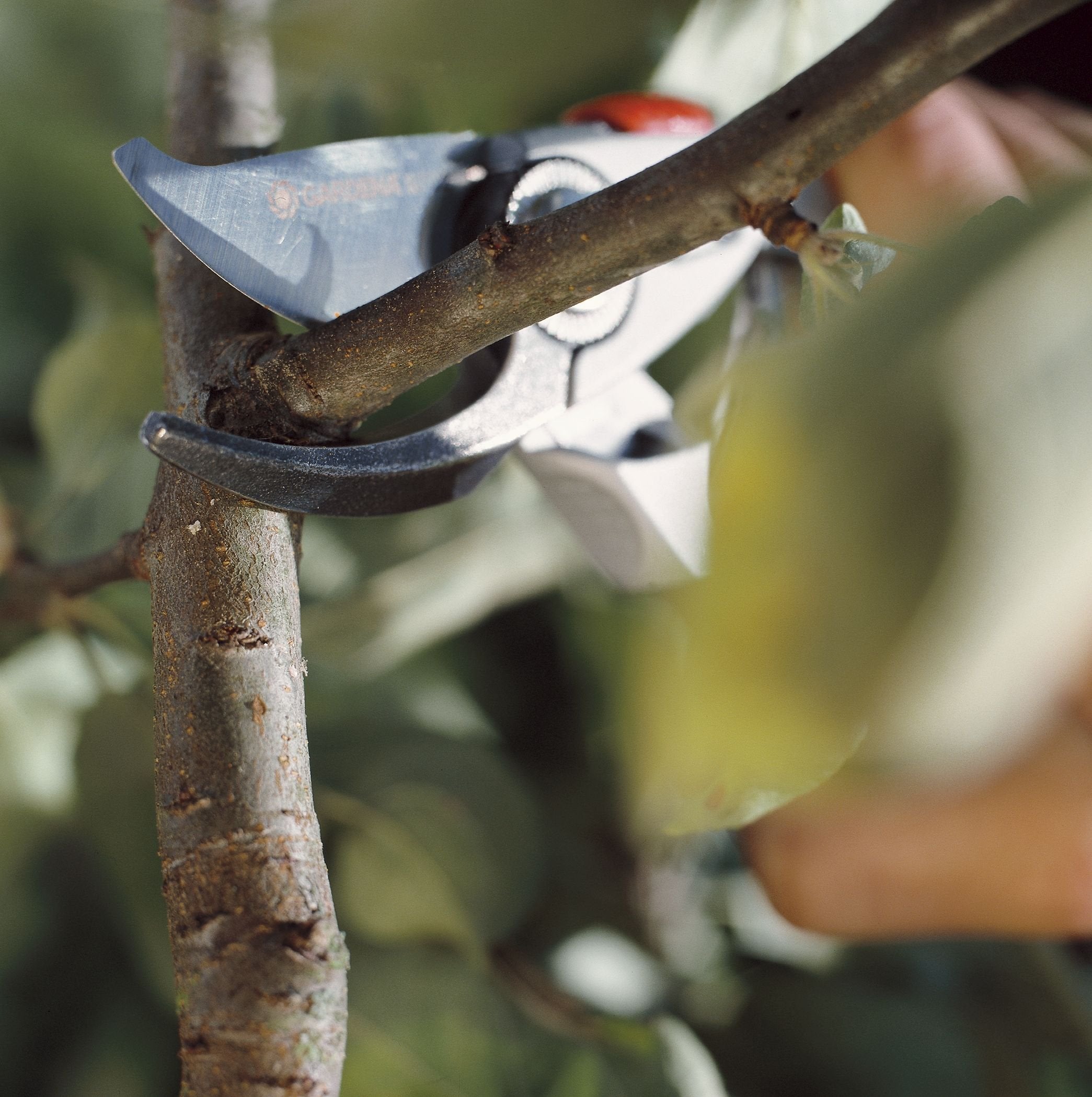 Gardena Premium Secateurs B+/L | Bypass Garden Shears with 24mm Cut