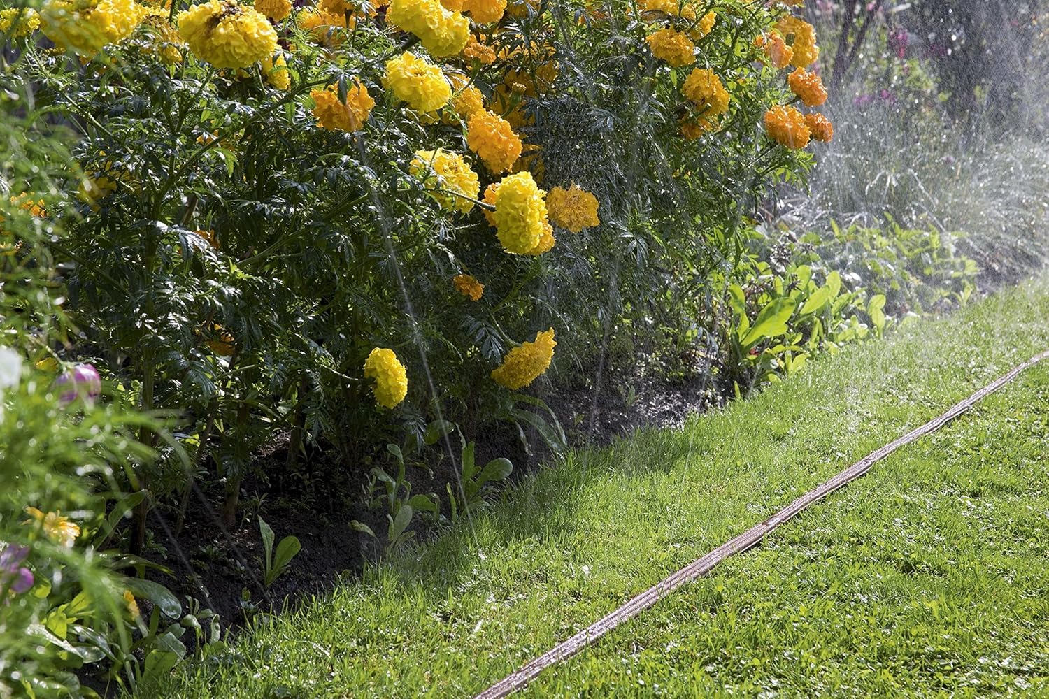 Gardena Sprinkler Hose – 15m Fine Spray Garden Irrigation, Brown