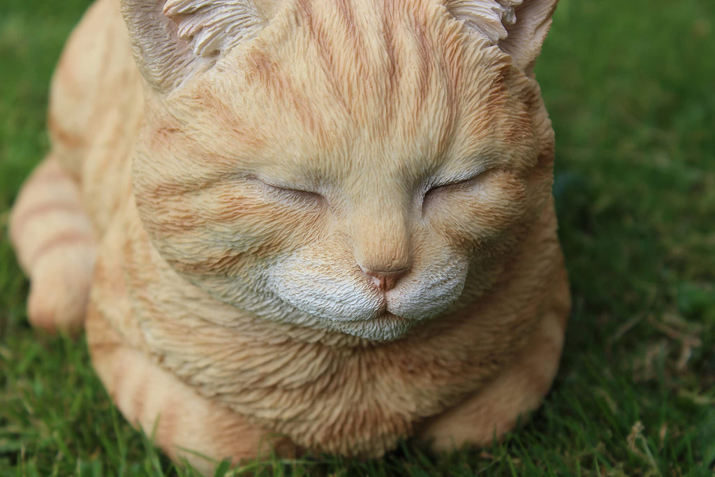 Vivid Arts Ginger Dreaming Cat Resin Ornament | Indoor Outdoor Decor