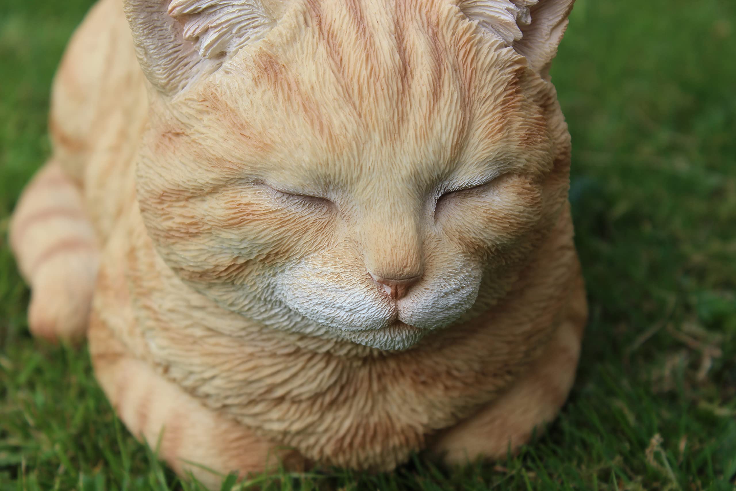 Vivid Arts Ginger Dreaming Cat Resin Ornament | Indoor Outdoor Decor