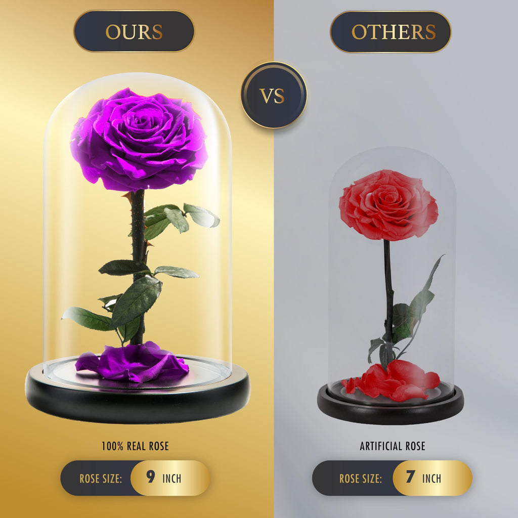 LOVAPPY Preserved Real Rose in Glass Dome – Beauty and the Beast Gift