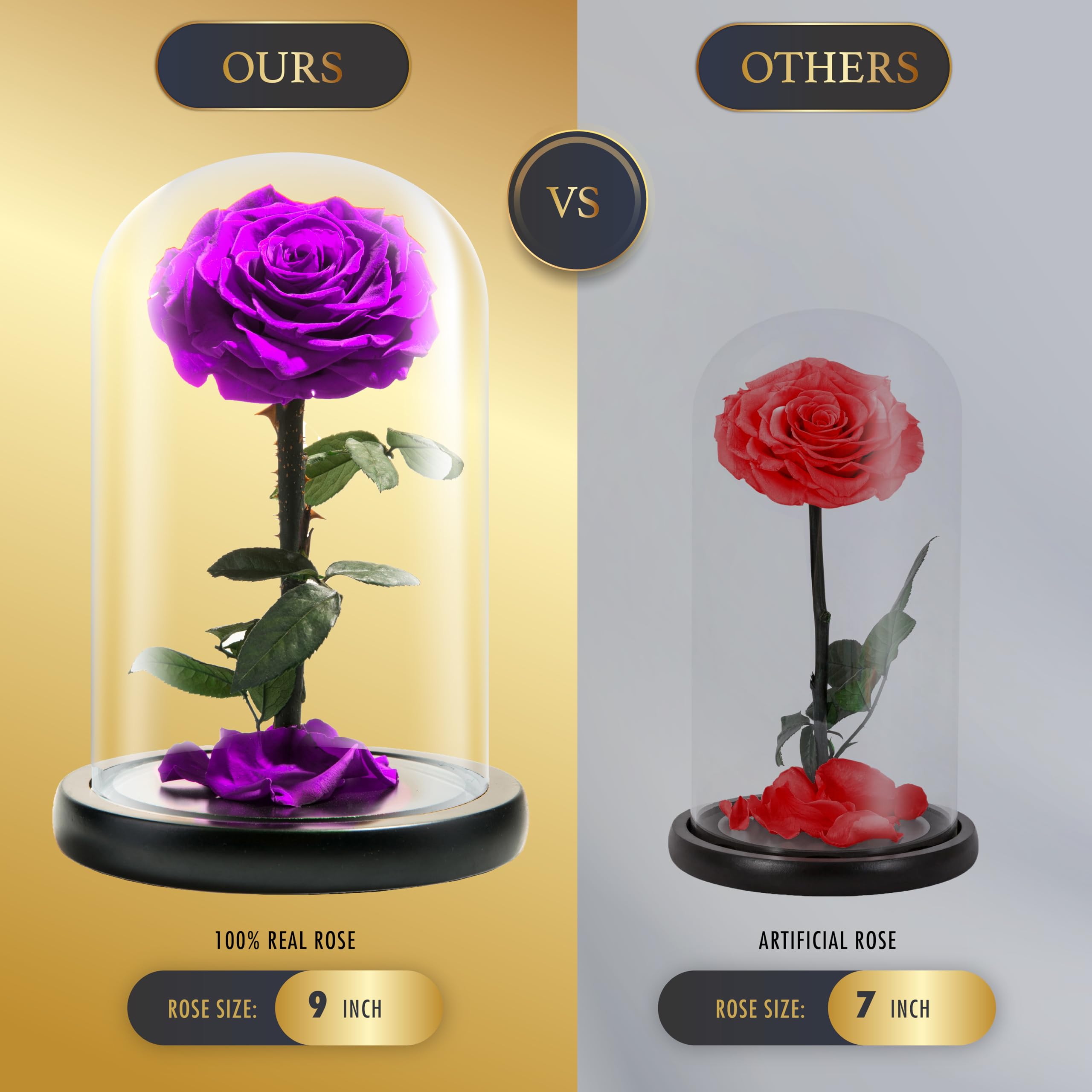 LOVAPPY Preserved Real Rose in Glass Dome – Beauty and the Beast Gift