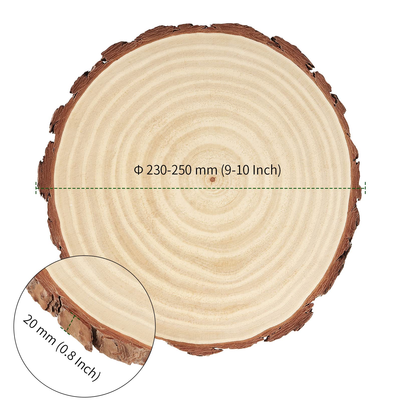 PINGEUI 6-Piece Natural Pine Wood Slices | 9-10 Inch Unfinished Wood Rounds