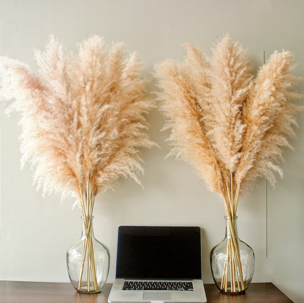 Bannifll 46-inch Natural Pampas Grass – 10 Stems Tall Beige Boho Decor