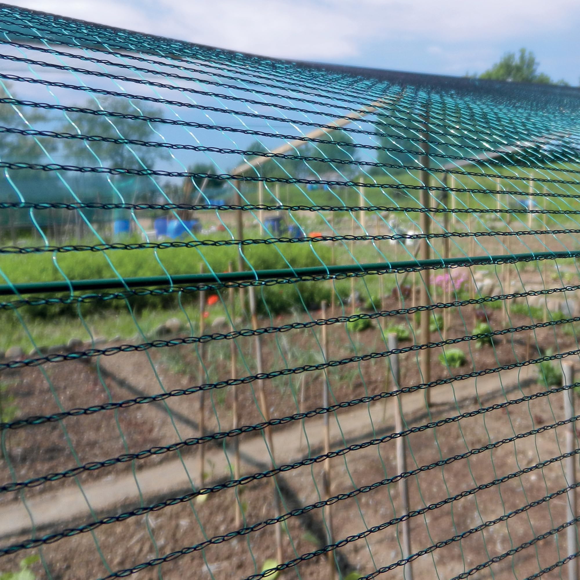 Anti-Hail Woven Mesh – 6x10m UV Resistant Garden Netting