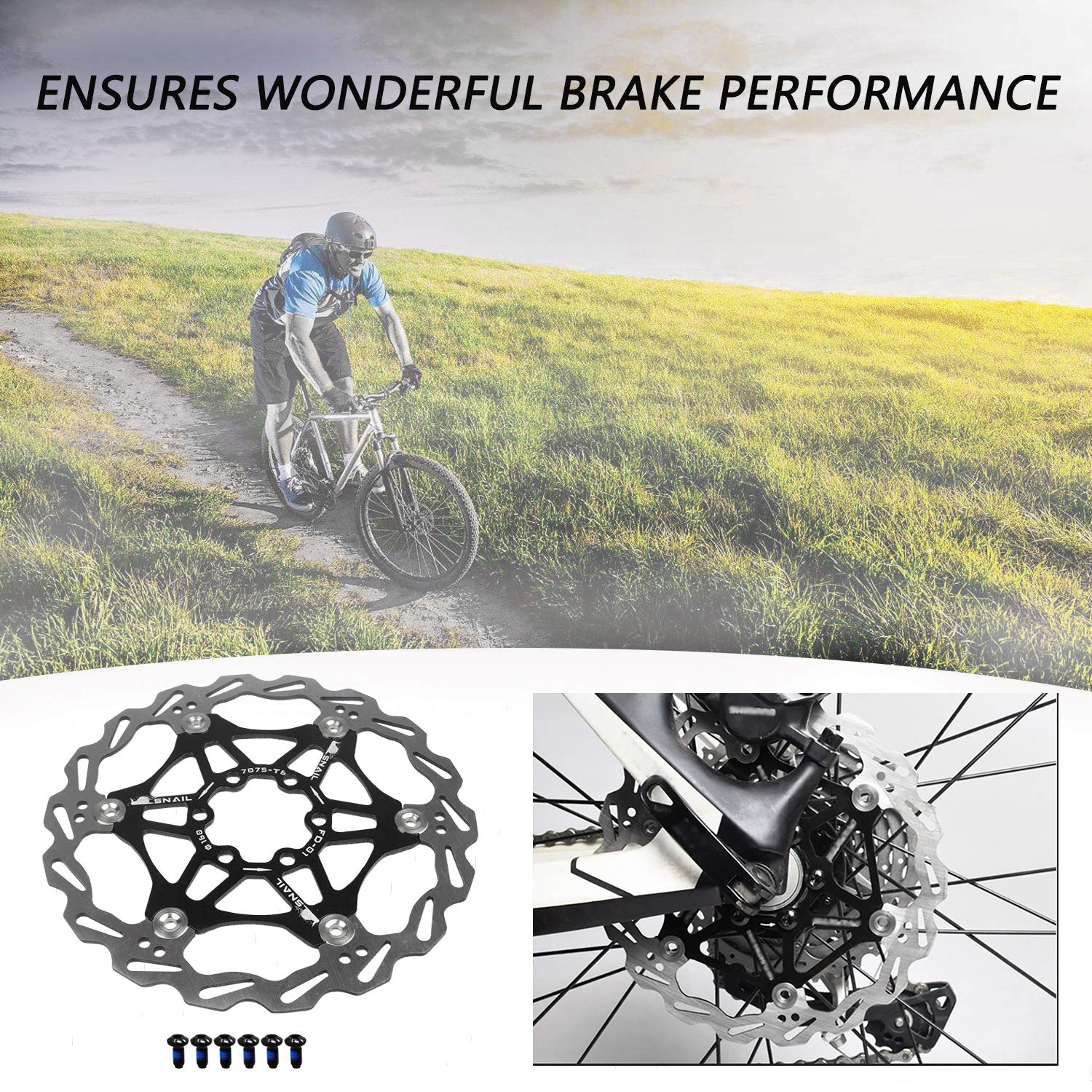Bicycle Floating Disc Brake Rotor | 203mm Center Lock Black