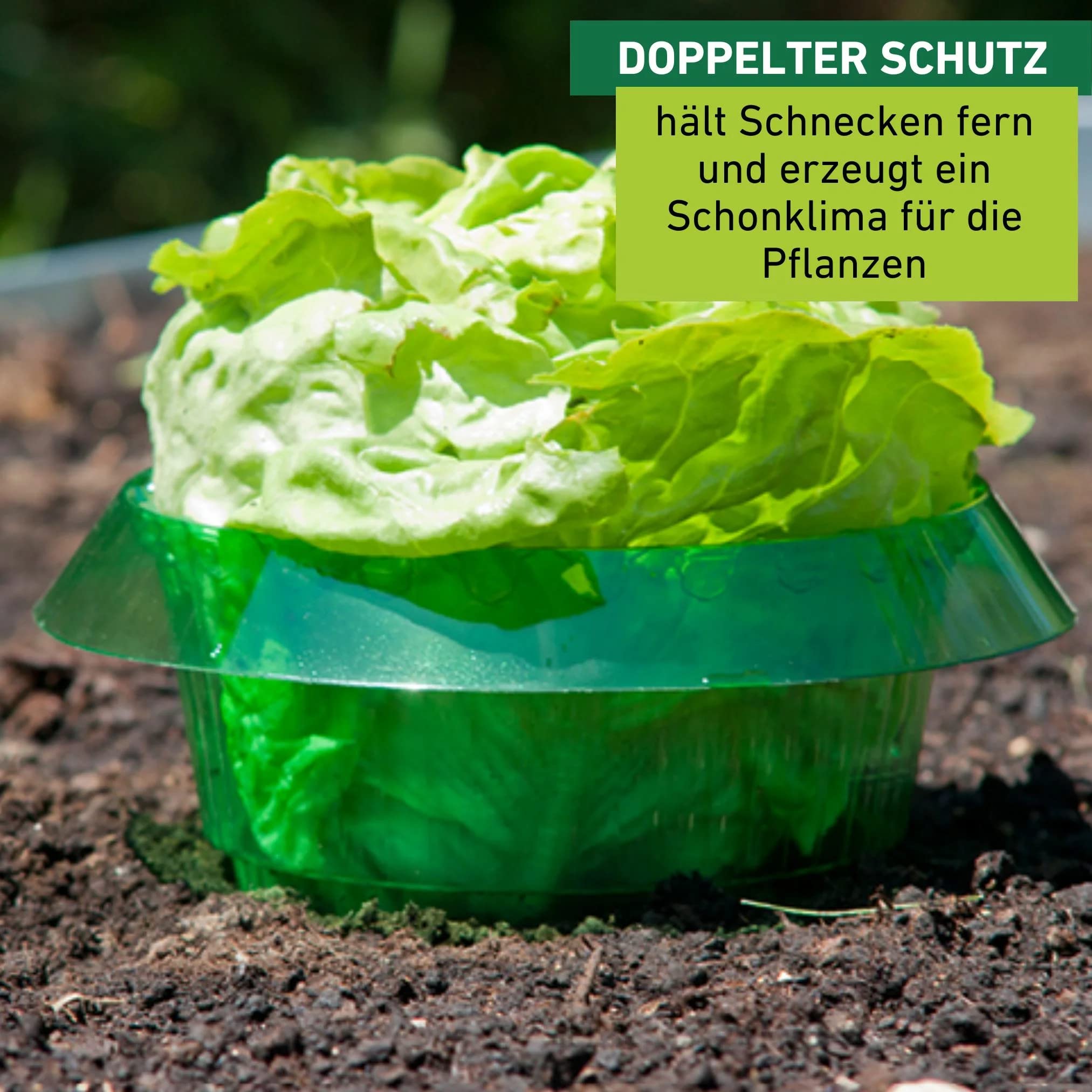 Windhager Snail Protection Ring - 6 Pack - 23cm Green PET Plant Guard