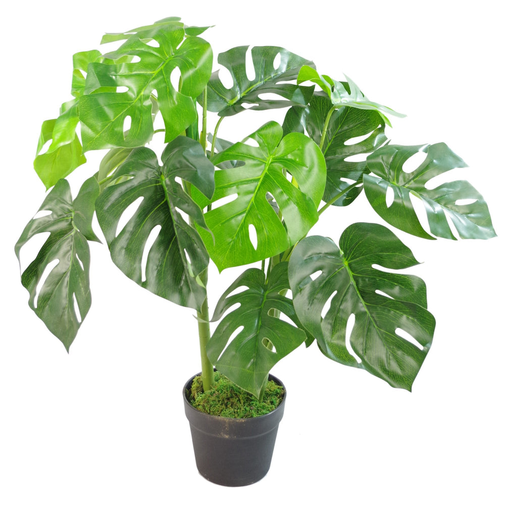 Jolof Store Realistic Artificial Monstera Plant | Potted Faux Greenery, 120cm