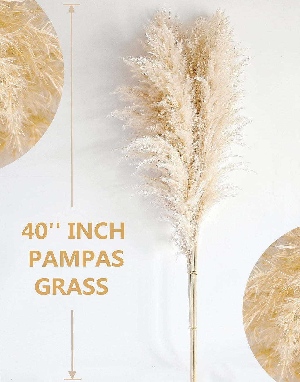 Bannifll 46-inch Natural Pampas Grass – 10 Stems Tall Beige Boho Decor