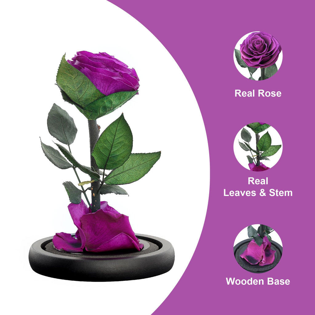 Preserved Eternal Rose – Handcrafted Single Flower in Glass Dome