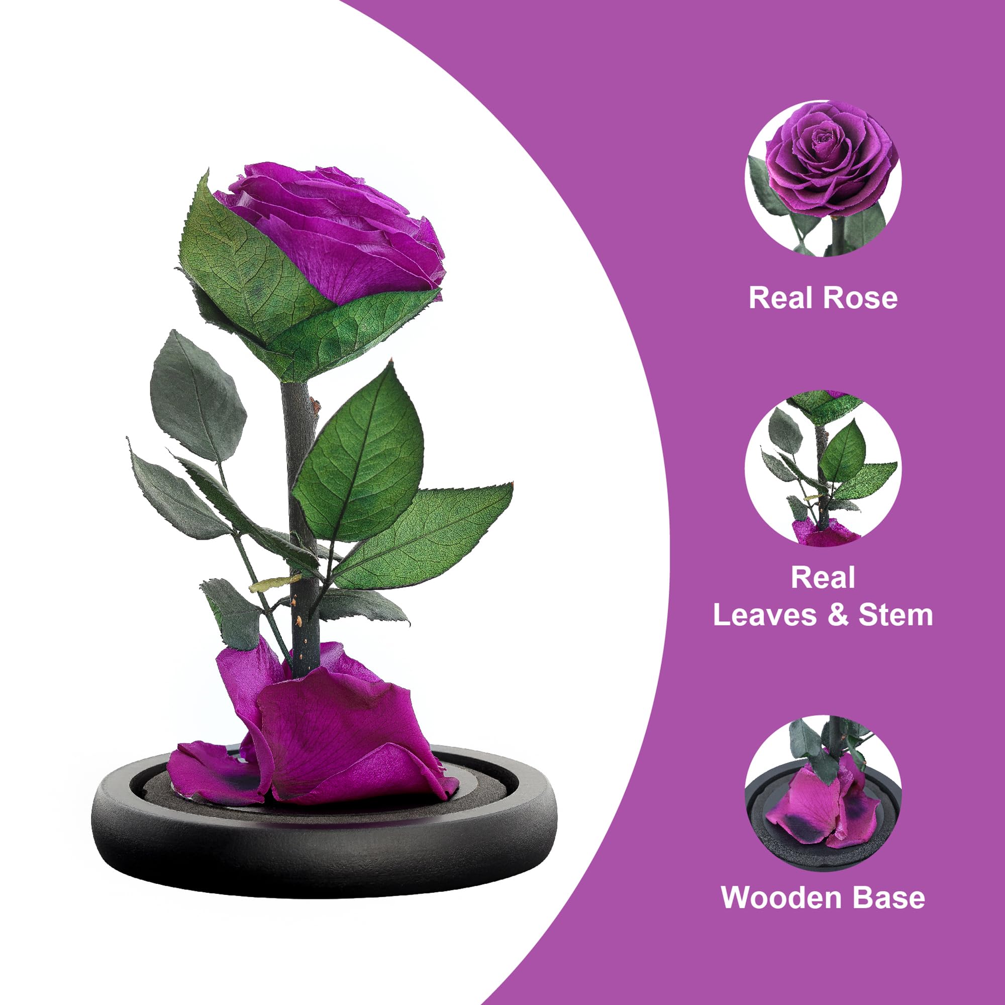Preserved Eternal Rose – Handcrafted Single Flower in Glass Dome