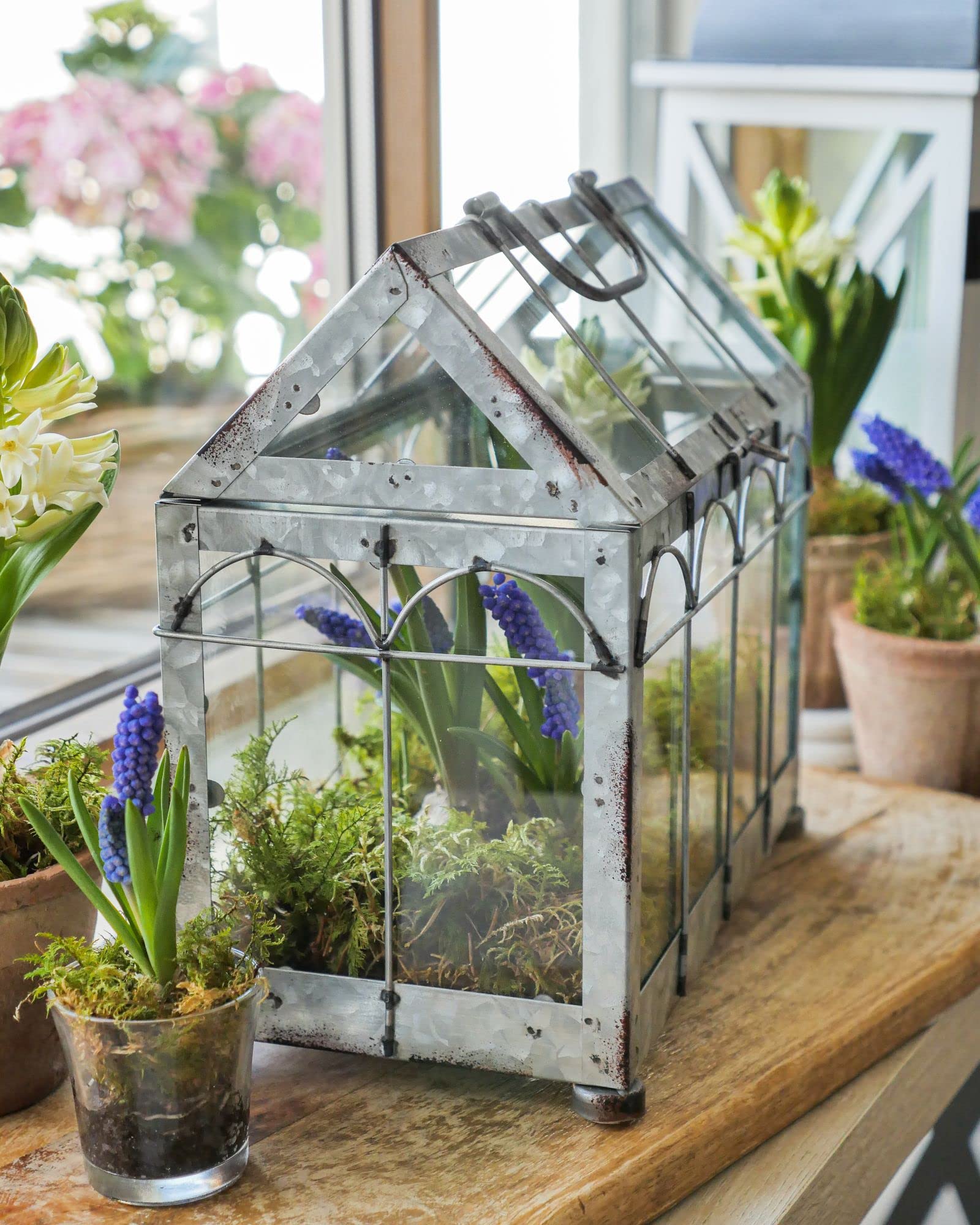 Esschert Design Small Iron & Glass Greenhouse with Lockable Lid