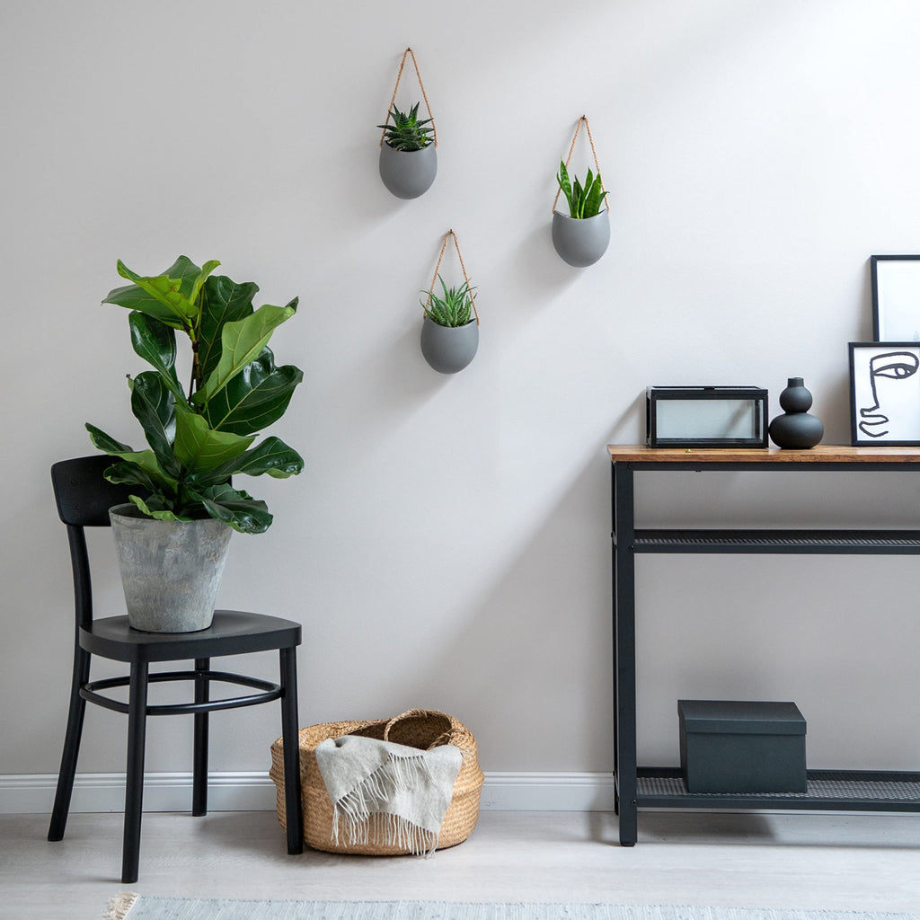 Kazai Ellie Hanging Ceramic Wall Planters – 3-Piece Indoor Garden Set, Grey