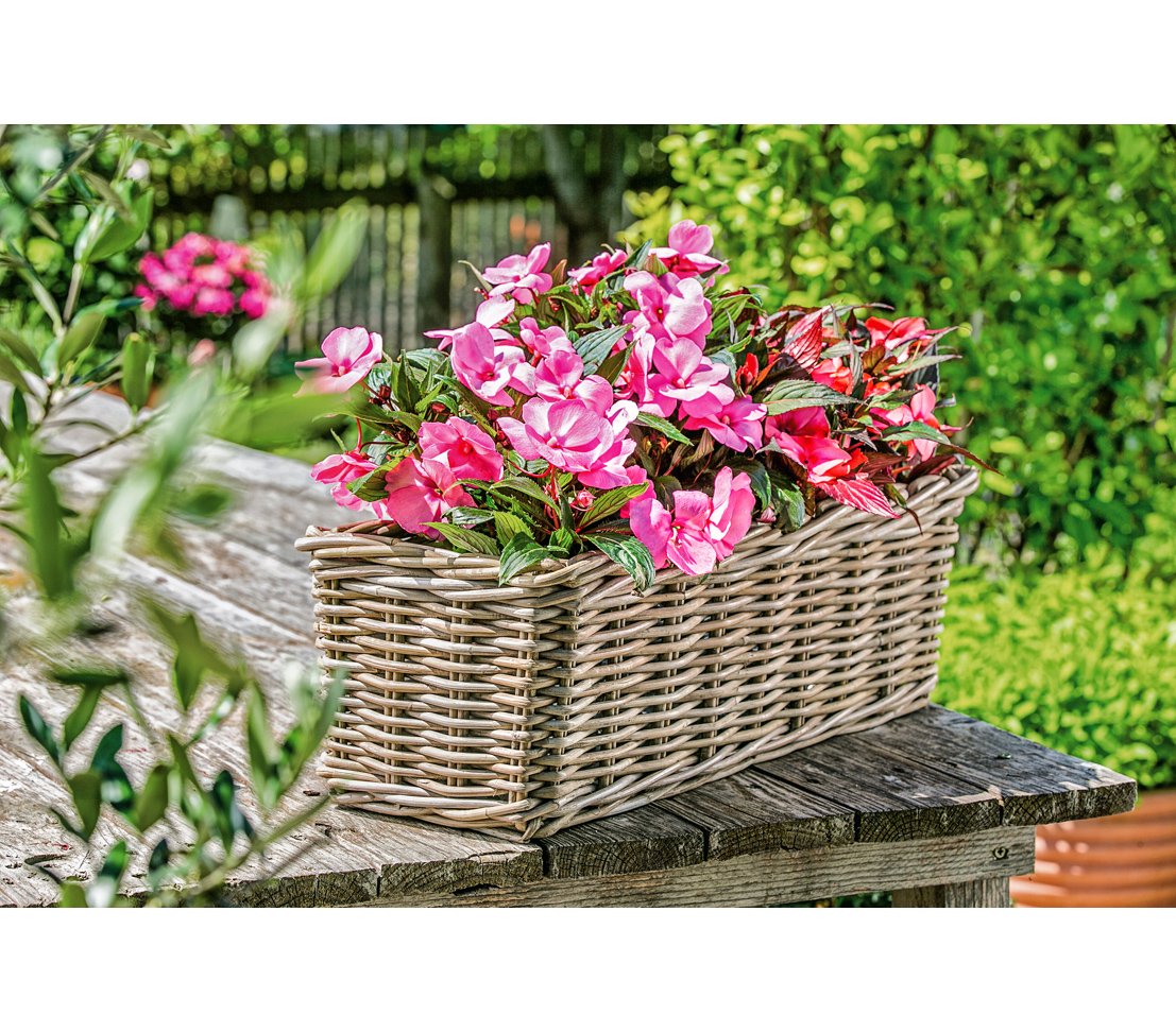 Dehner Rattan Planter – Weather-Resistant Grey/Brown Flower Pot