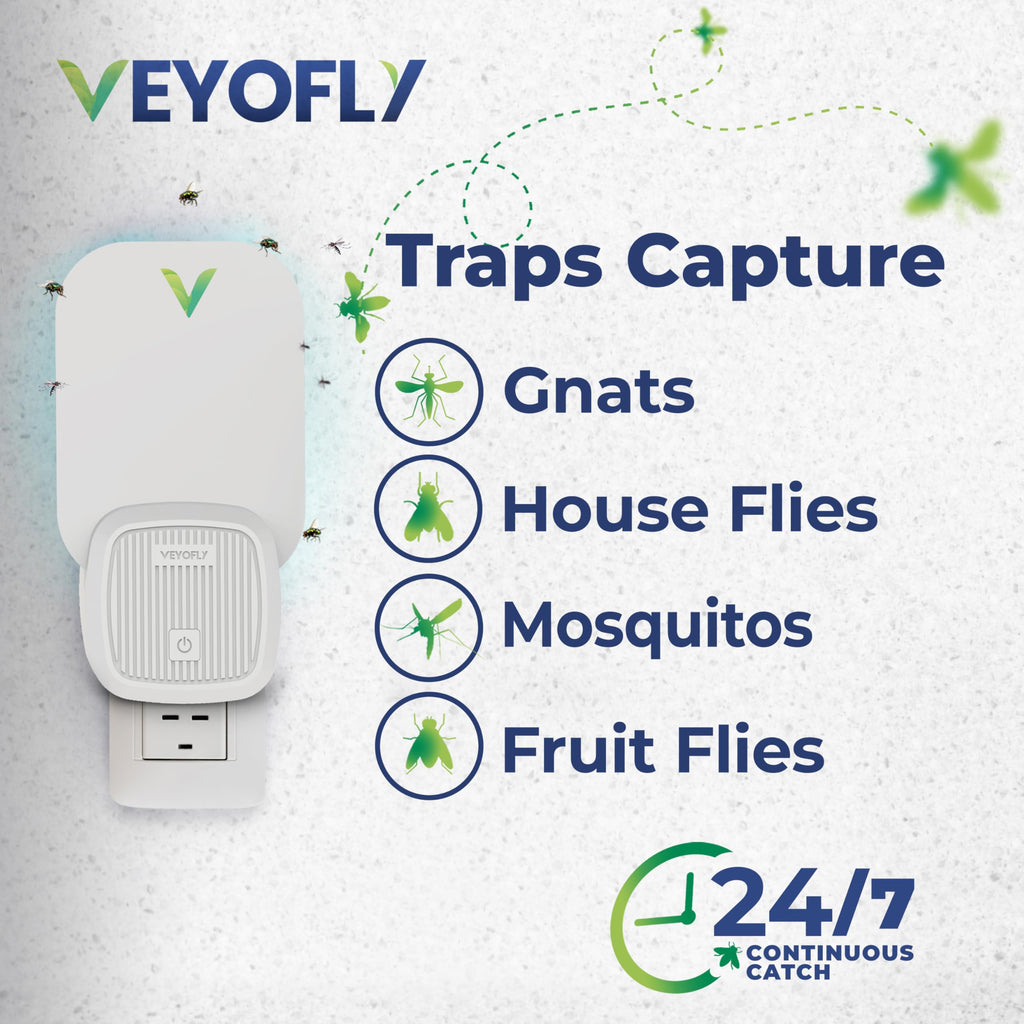 Indoor Fly Trap – Plug-in Gnat & Fruit Fly Killer (4 Pack)