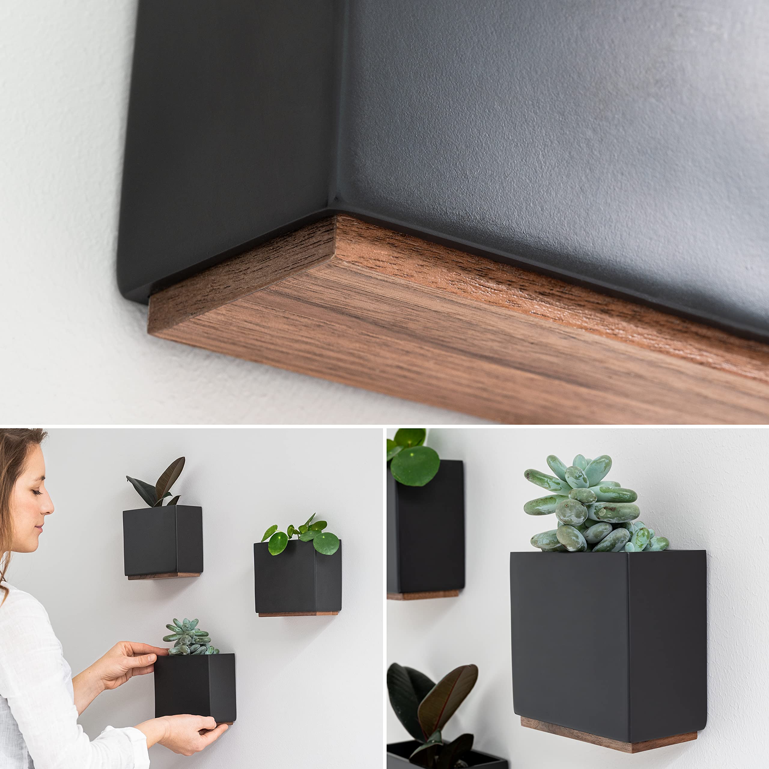 Kazai Alma Wall Planters | Set of 3 Resin & Wood Hanging Indoor Pots