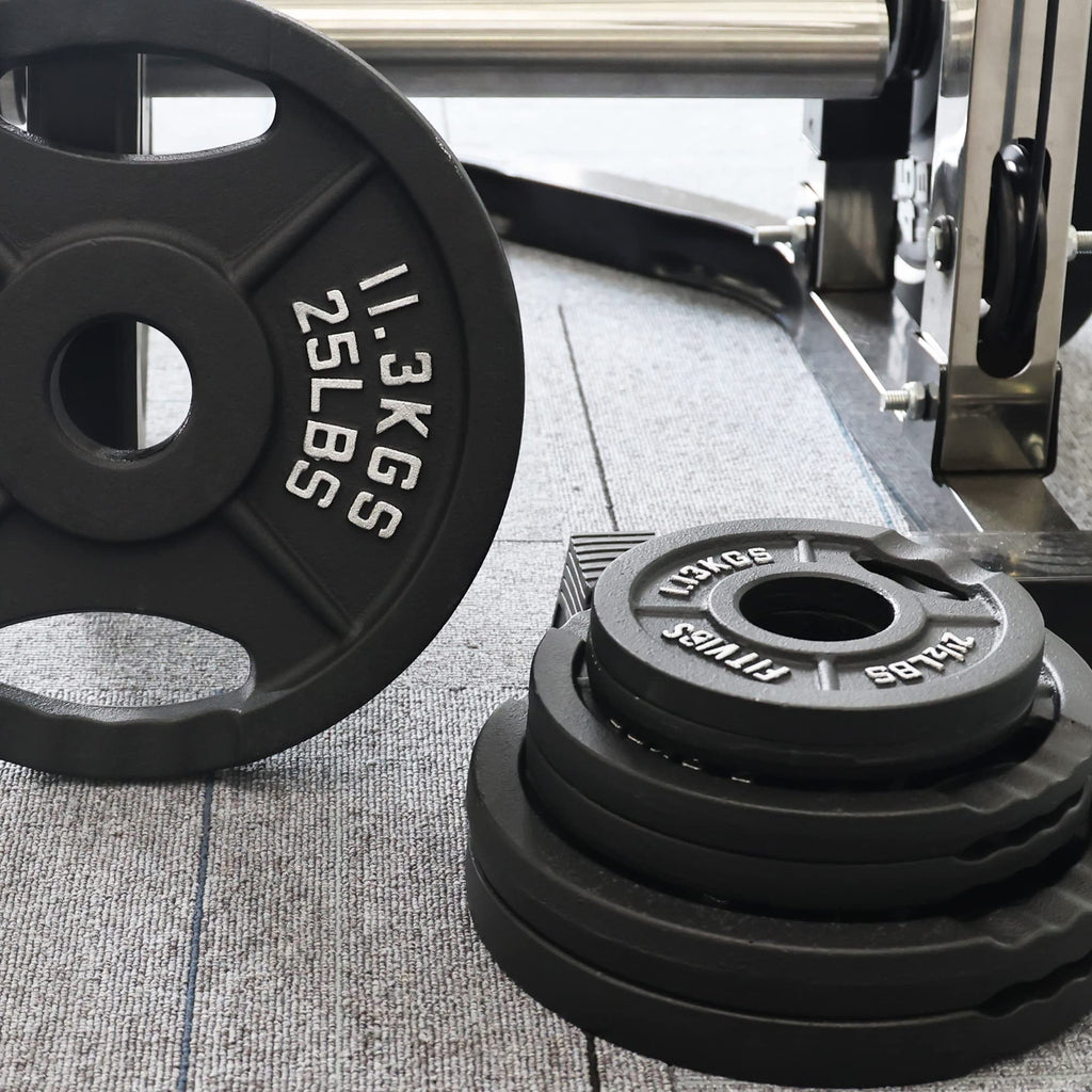 Signature Fitness 25LB Cast Iron Olympic Weight Plates - Pair