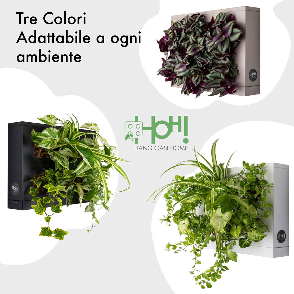 Ortisgreen HOH Vertical Garden Wall Planter – White Indoor/Outdoor Kit