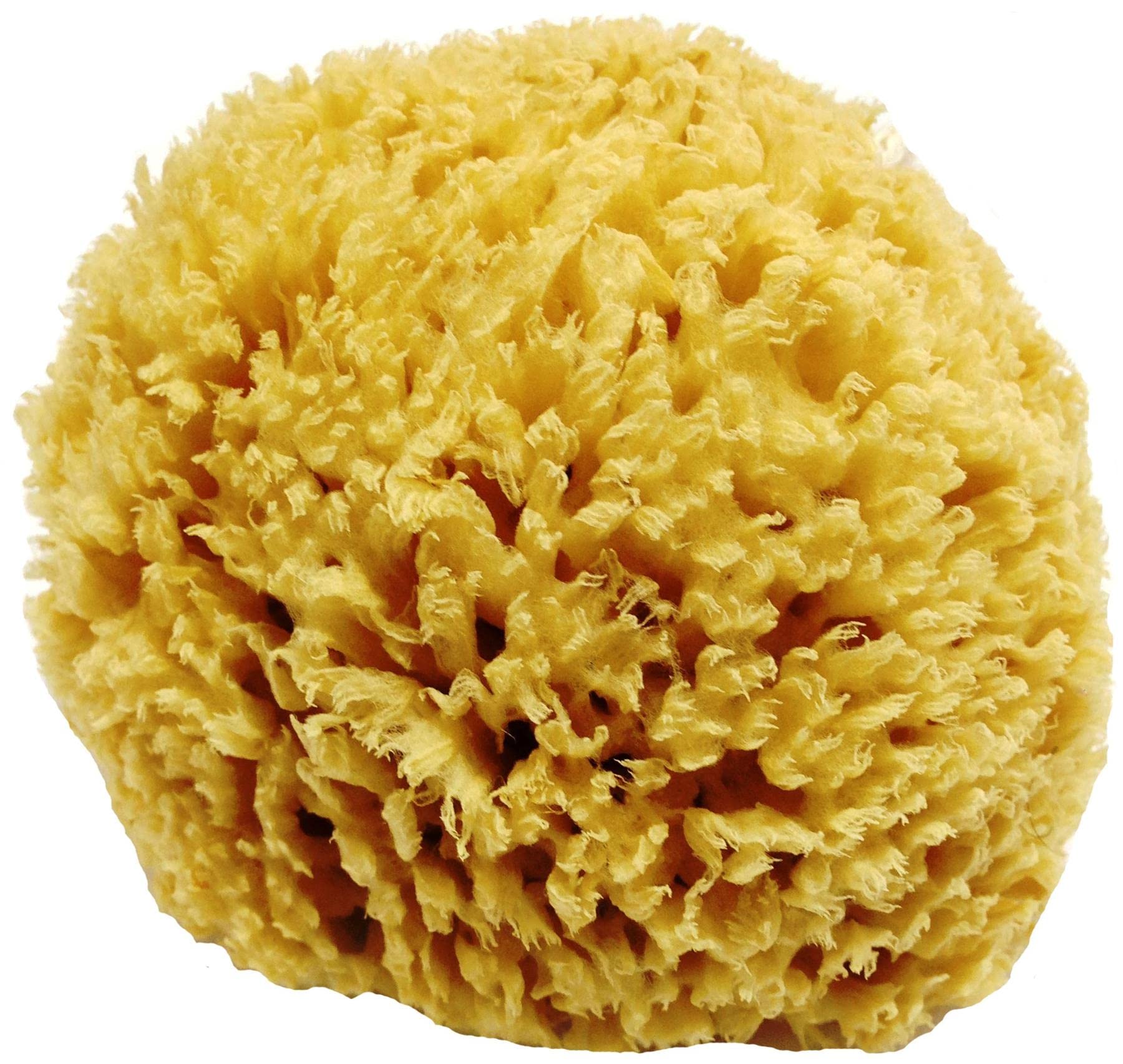 Jolof Store Unbleached Honeycomb Natural Sea Sponge | Organic & Soft
