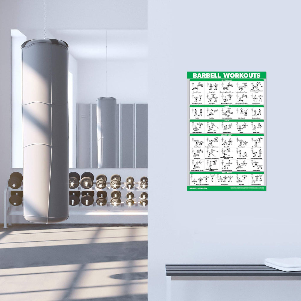 10 Pack Exercise Workout Poster Set – Laminated 18" x 24"