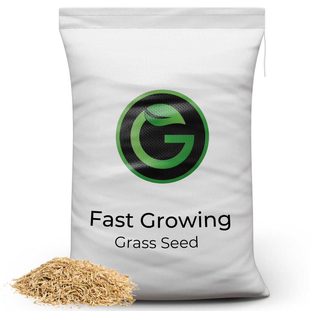 Fast Growing Grass Seed – 5kg Pet Friendly Lawn Repair