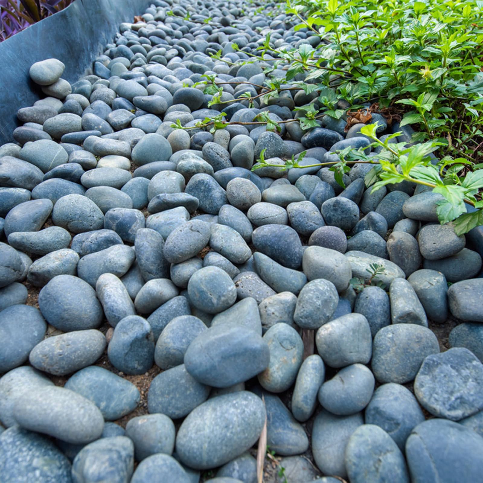 FANTIAN 20 lbs Black Garden Stones | 4-6 cm Natural Decorative Pebbles