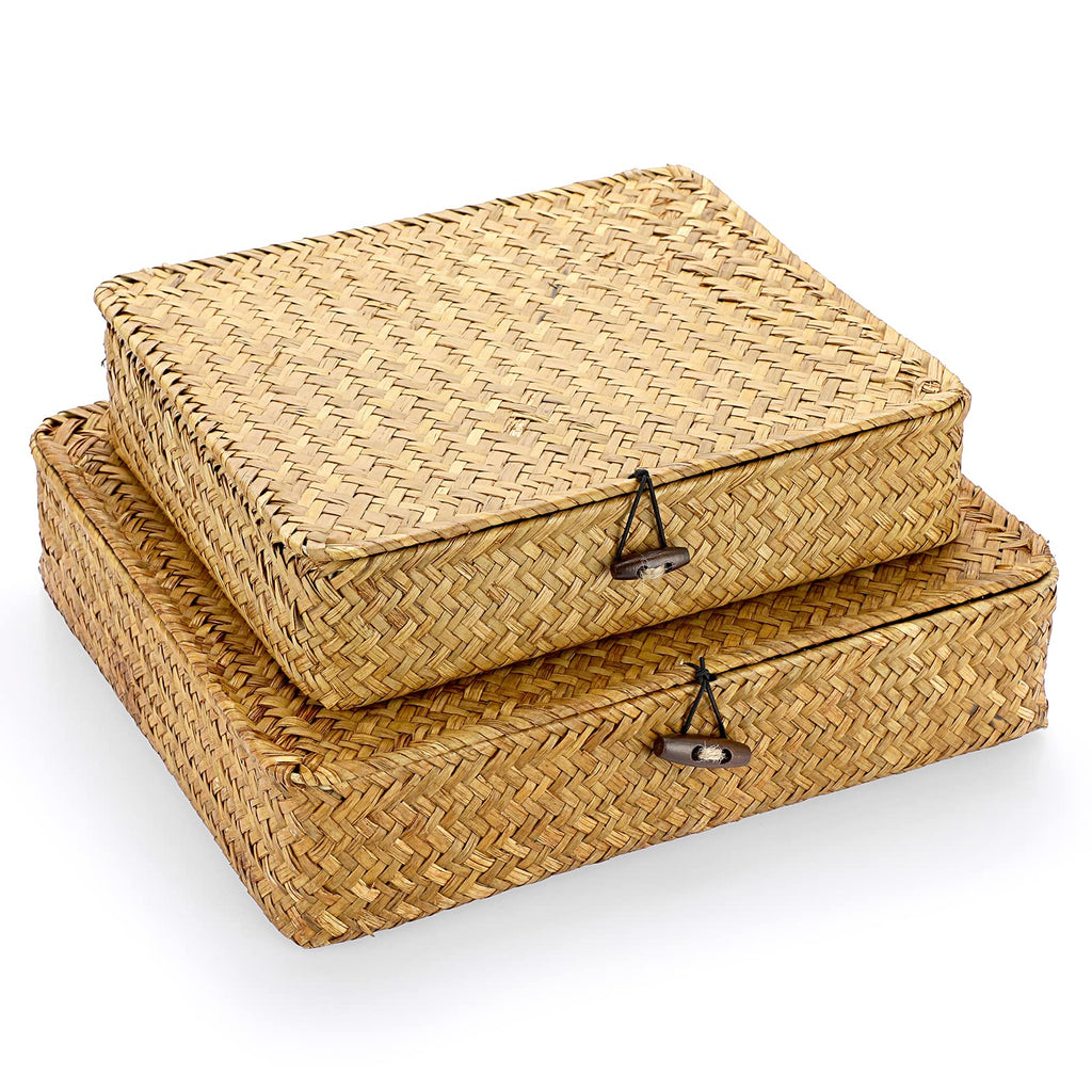 IGNPION Set of 2 Seagrass Storage Basket with Lid Flat Organiser Baskets for Shelf - image 1