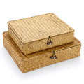 IGNPION Set of 2 Seagrass Storage Basket with Lid Flat Organiser Baskets for Shelf - image 1