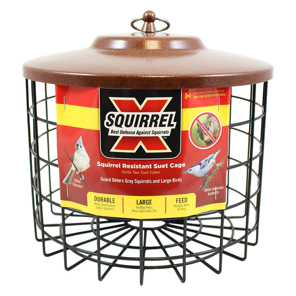 More Birds Squirrel-X Double Suet Feeder – Squirrel Proof Caged Steel