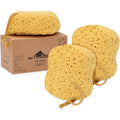 myHomeBody Foam Bath Sponge – Large Body Scrubber for Shower, 3 Pack