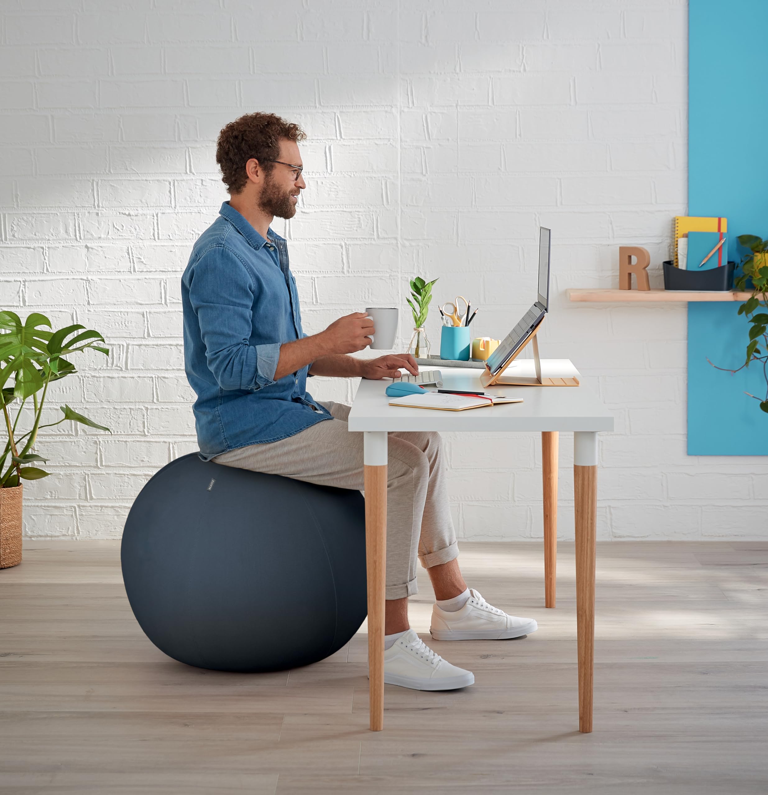 Leitz Ergo Cosy Active Sitting Ball – 65cm Ergonomic Exercise Chair