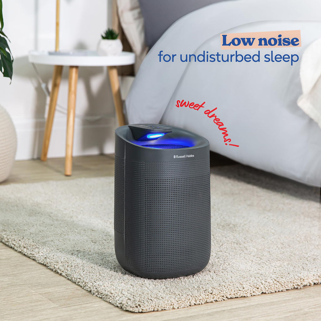 Russell Hobbs RHDH1101G 2-in-1 Dehumidifier & Air Purifier - Grey