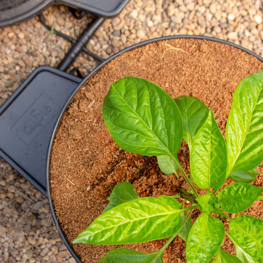 PLANT IT GoGro Automatic Watering System | 2 Plant Kit with 15L Pots