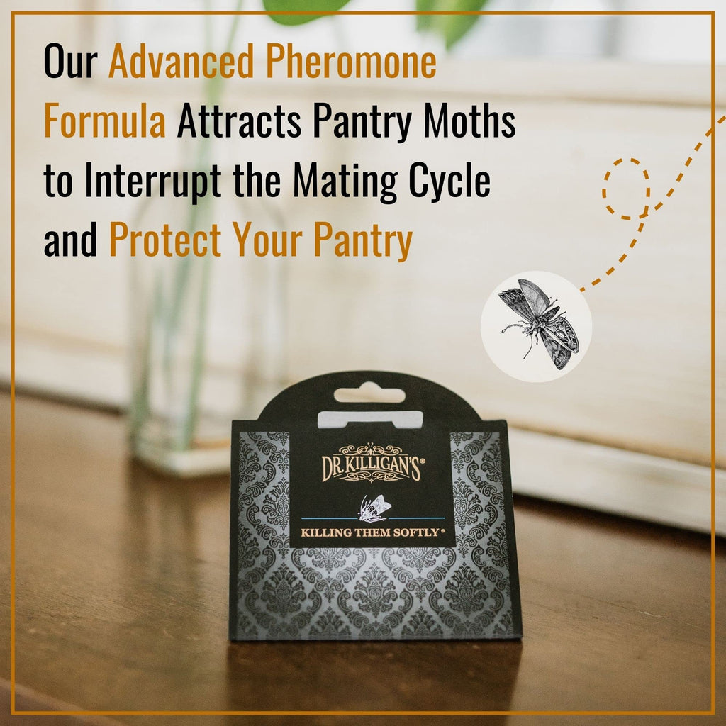Dr. Killigan's Pantry Moth Traps | Non-Toxic Pheromone Glue Traps - 20 Pack