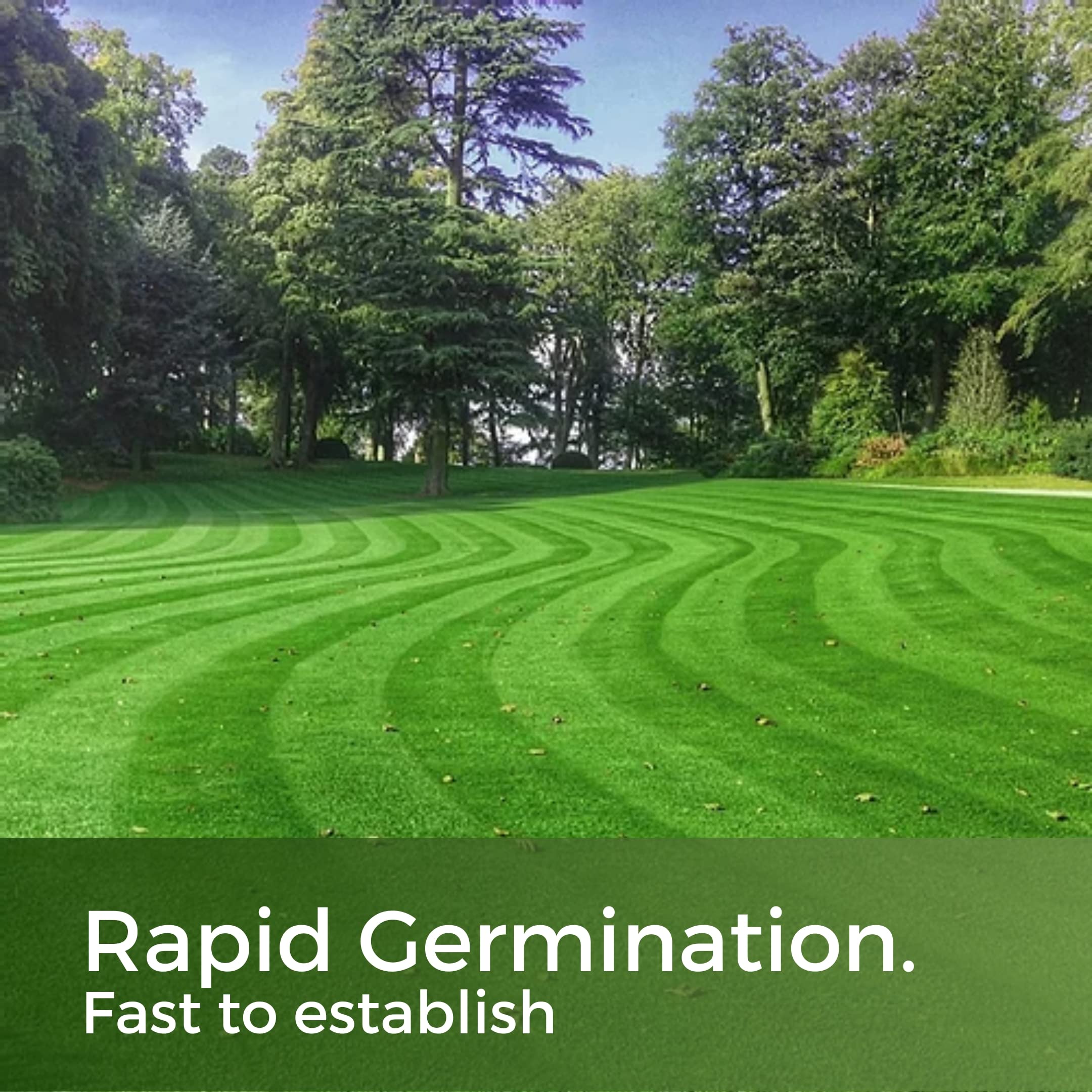Fast Growing Grass Seed – 5kg Pet Friendly Lawn Repair