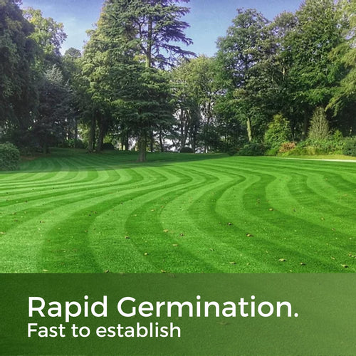 Fast Growing Grass Seed – 5kg Pet Friendly Lawn Repair