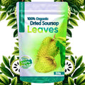 Organic Soursop Leaves – 150g Natural Bath Additive