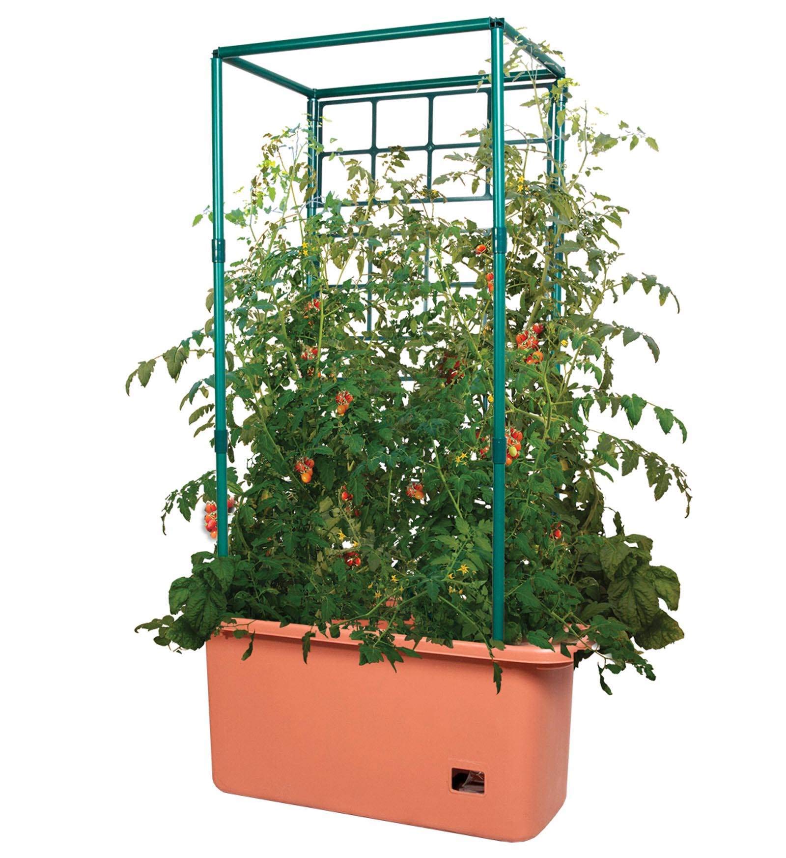 Hydrofarm Self-Watering Tomato Planter – Vertical Tree Tower, Green