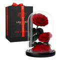 LOVAPPY Preserved Eternal Rose in Glass Dome – Infinity Flower Gift