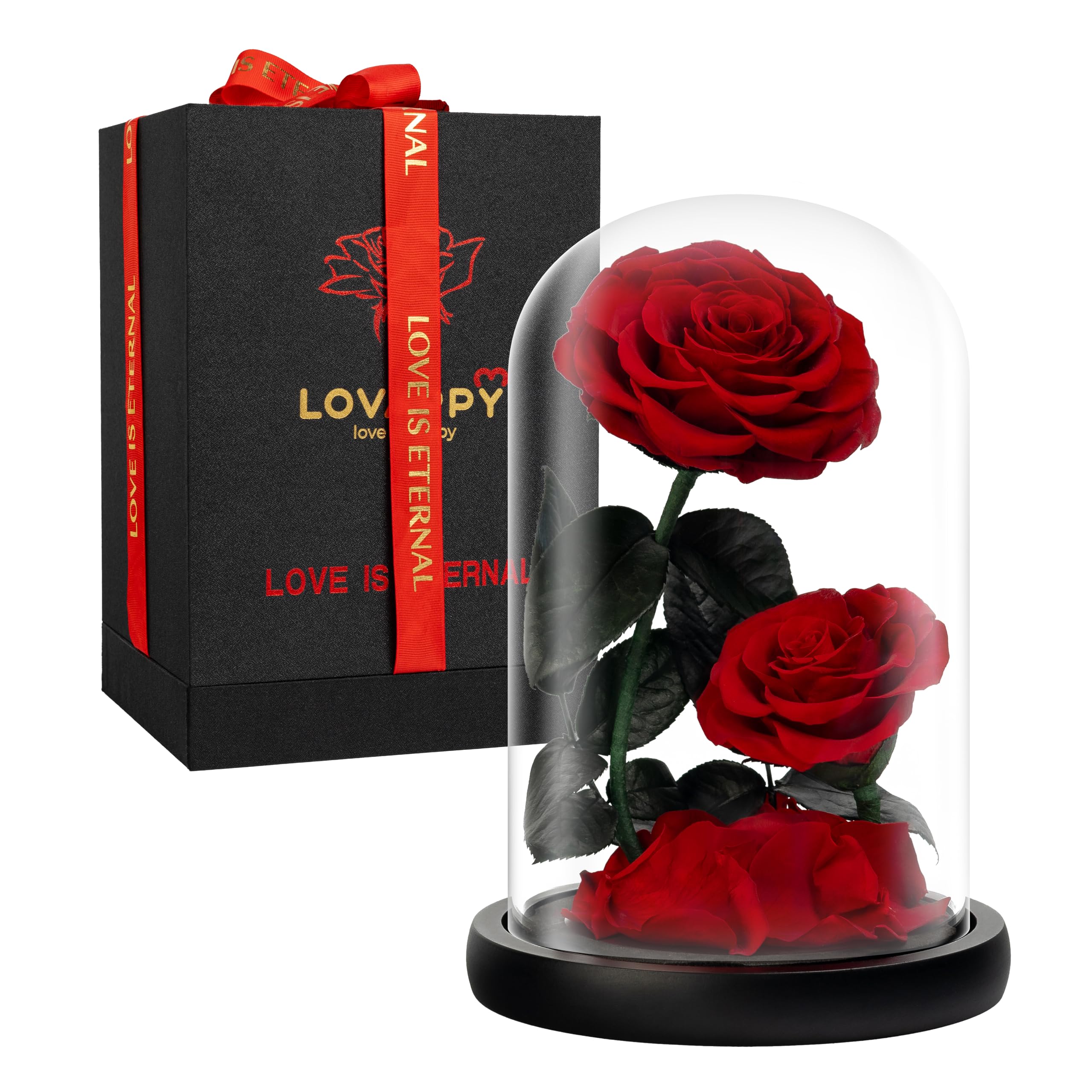 LOVAPPY Preserved Eternal Rose in Glass Dome – Infinity Flower Gift