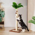 80cm Cat Scratching Post - Sisal Palm Tree for Indoor Cats