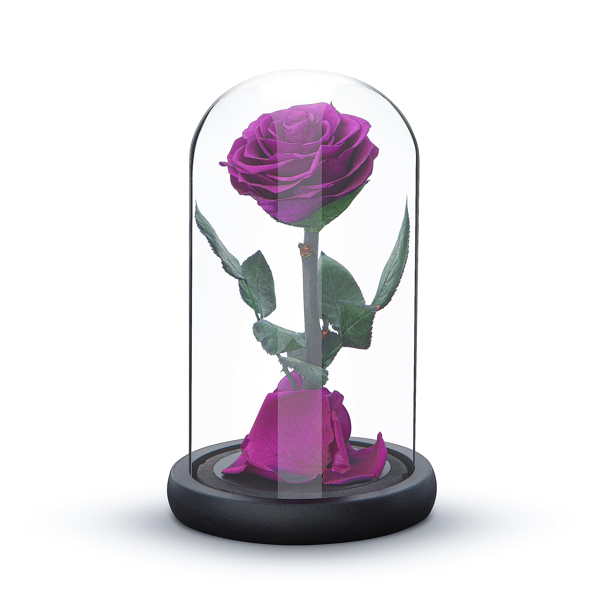 Preserved Eternal Rose – Handcrafted Single Flower in Glass Dome