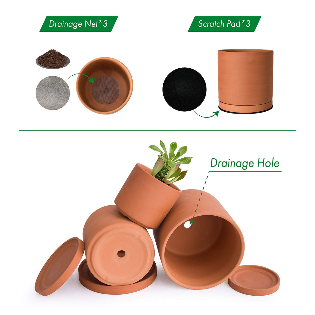 D'vine Dev Terracotta Succulent Planter Pots with Drainage - Set of 3