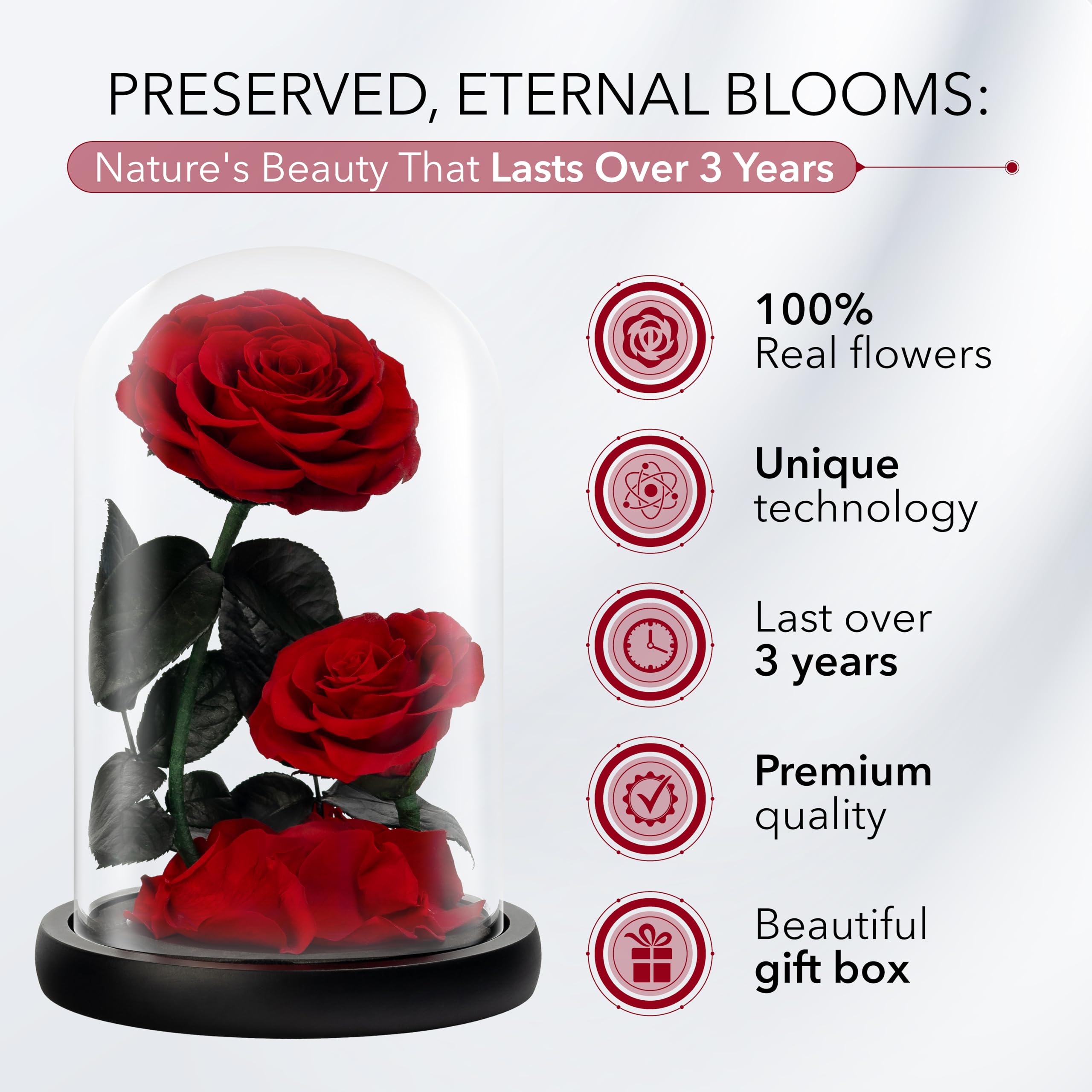 LOVAPPY Preserved Eternal Rose in Glass Dome – Infinity Flower Gift