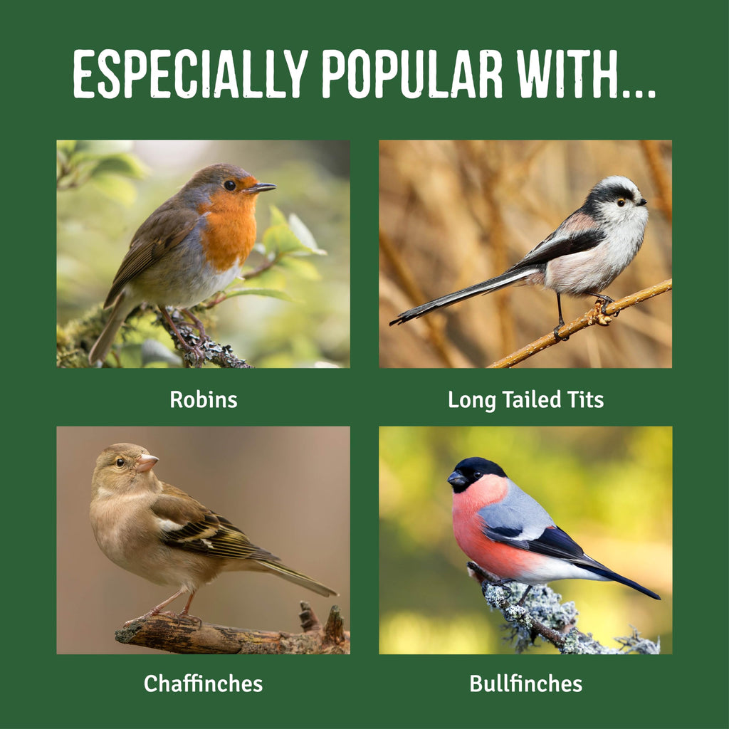 Honeyfield’s Robin Food Mix – High Protein Wild Bird Food, 12.6kg