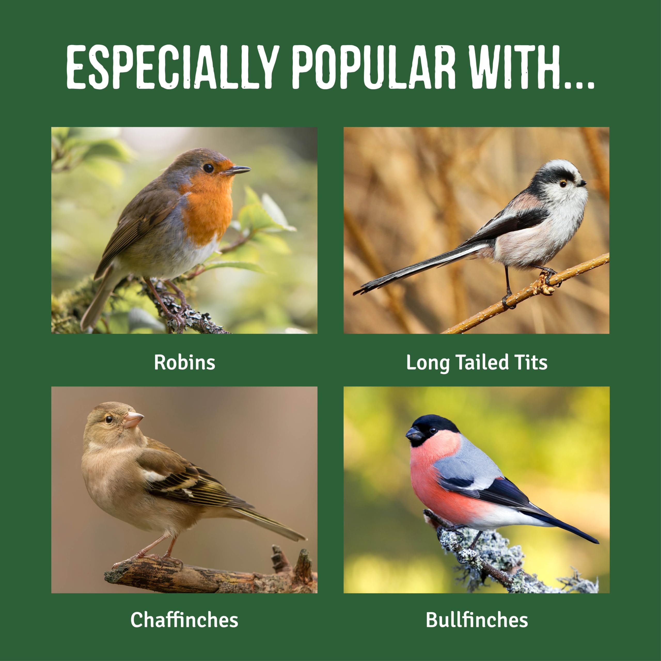 Honeyfield’s Robin Food Mix – High Protein Wild Bird Food, 12.6kg